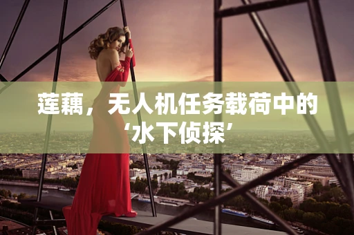 莲藕，无人机任务载荷中的‘水下侦探’