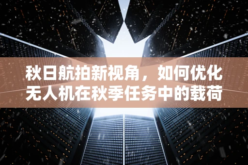秋日航拍新视角，如何优化无人机在秋季任务中的载荷配置？