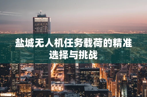 盐城无人机任务载荷的精准选择与挑战