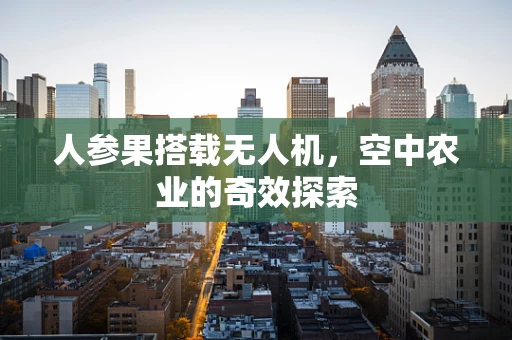 人参果搭载无人机，空中农业的奇效探索