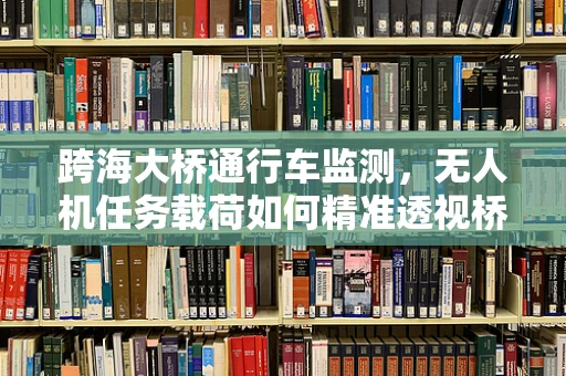 跨海大桥通行车监测，无人机任务载荷如何精准透视桥梁安全？