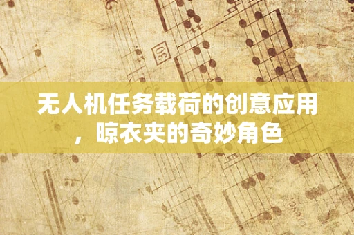 无人机任务载荷的创意应用，晾衣夹的奇妙角色