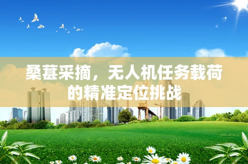 桑葚采摘，无人机任务载荷的精准定位挑战