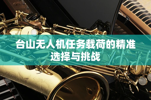 台山无人机任务载荷的精准选择与挑战