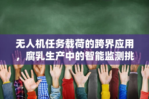 无人机任务载荷的跨界应用，腐乳生产中的智能监测挑战？