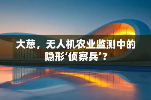 大葱，无人机农业监测中的隐形‘侦察兵’？