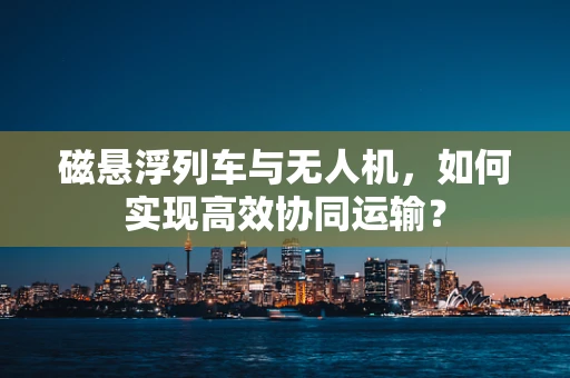 磁悬浮列车与无人机，如何实现高效协同运输？