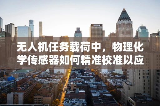 无人机任务载荷中，物理化学传感器如何精准校准以应对复杂环境挑战？