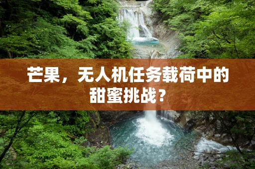 芒果，无人机任务载荷中的甜蜜挑战？