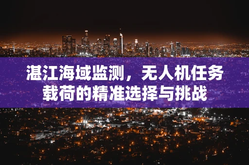 湛江海域监测，无人机任务载荷的精准选择与挑战