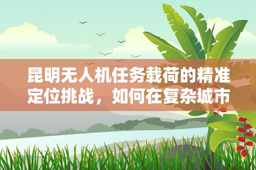 昆明无人机任务载荷的精准定位挑战，如何在复杂城市环境中实现高精度？