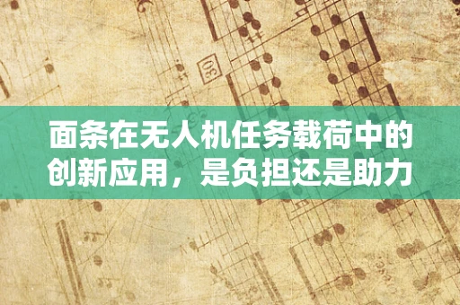 面条在无人机任务载荷中的创新应用，是负担还是助力？