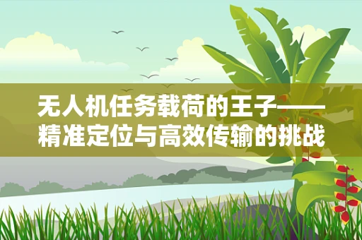无人机任务载荷的王子——精准定位与高效传输的挑战
