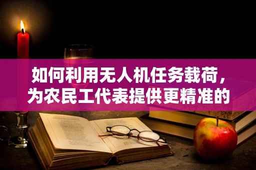 如何利用无人机任务载荷，为农民工代表提供更精准的援助信息？