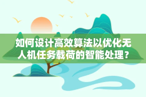 如何设计高效算法以优化无人机任务载荷的智能处理？