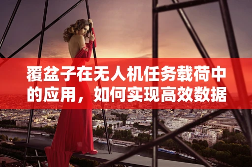 覆盆子在无人机任务载荷中的应用，如何实现高效数据采集？