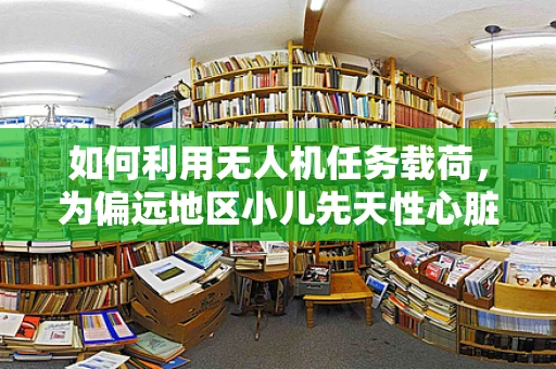 如何利用无人机任务载荷，为偏远地区小儿先天性心脏病筛查提供新视角？