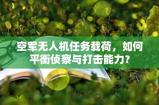 空军无人机任务载荷，如何平衡侦察与打击能力？