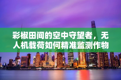 彩椒田间的空中守望者，无人机载荷如何精准监测作物生长？