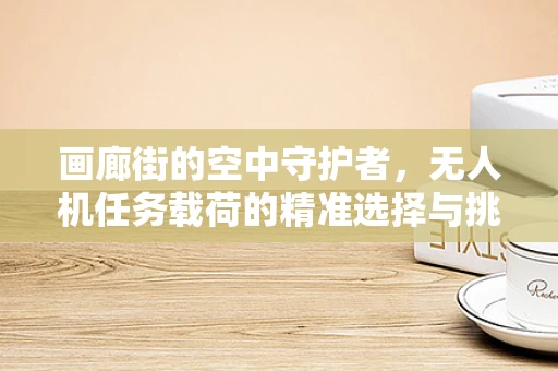 画廊街的空中守护者，无人机任务载荷的精准选择与挑战