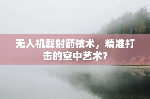 无人机载射箭技术，精准打击的空中艺术？
