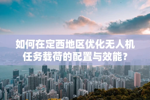 如何在定西地区优化无人机任务载荷的配置与效能？