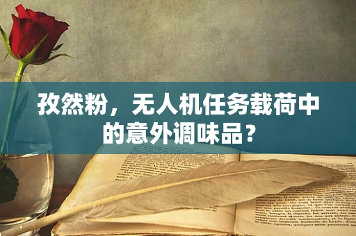 孜然粉，无人机任务载荷中的意外调味品？