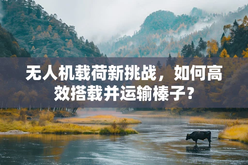 无人机载荷新挑战，如何高效搭载并运输榛子？