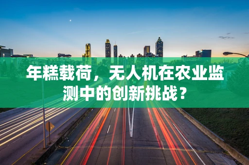 年糕载荷，无人机在农业监测中的创新挑战？