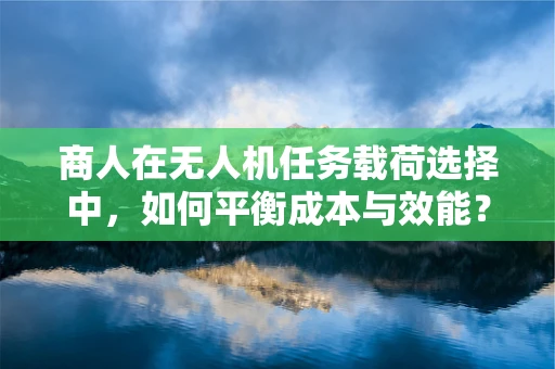 商人在无人机任务载荷选择中，如何平衡成本与效能？
