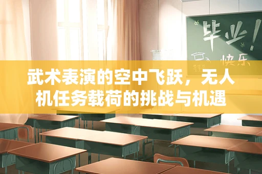 武术表演的空中飞跃，无人机任务载荷的挑战与机遇
