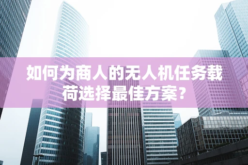 如何为商人的无人机任务载荷选择最佳方案？