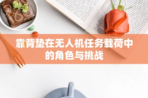 靠背垫在无人机任务载荷中的角色与挑战