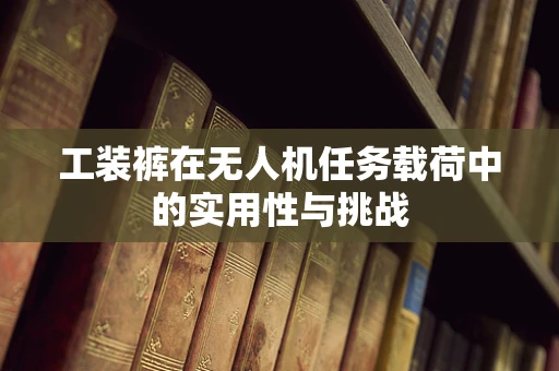 工装裤在无人机任务载荷中的实用性与挑战