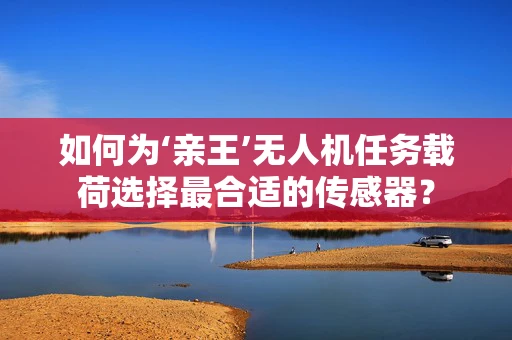 如何为‘亲王’无人机任务载荷选择最合适的传感器？