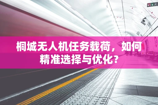 桐城无人机任务载荷，如何精准选择与优化？