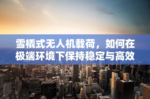 雪橇式无人机载荷，如何在极端环境下保持稳定与高效？