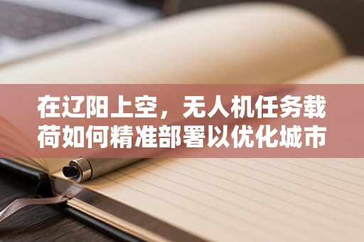 在辽阳上空，无人机任务载荷如何精准部署以优化城市管理？