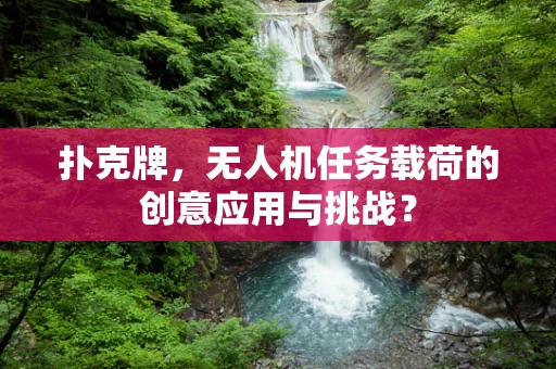 扑克牌，无人机任务载荷的创意应用与挑战？