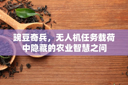豌豆奇兵，无人机任务载荷中隐藏的农业智慧之问