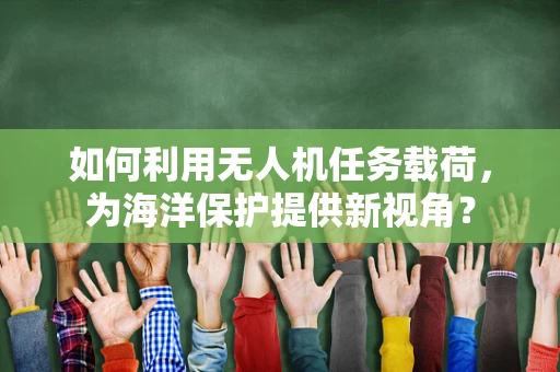如何利用无人机任务载荷，为海洋保护提供新视角？