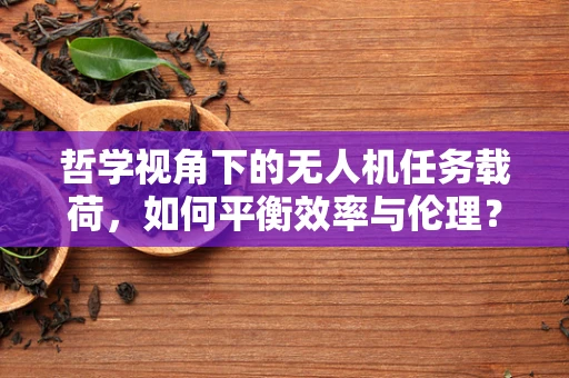 哲学视角下的无人机任务载荷，如何平衡效率与伦理？