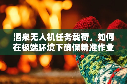 酒泉无人机任务载荷，如何在极端环境下确保精准作业？
