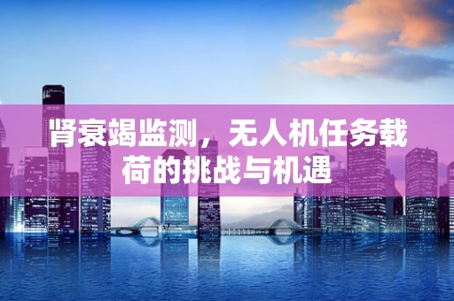 肾衰竭监测，无人机任务载荷的挑战与机遇