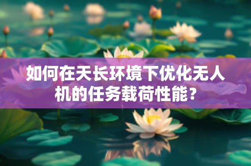 如何在天长环境下优化无人机的任务载荷性能？