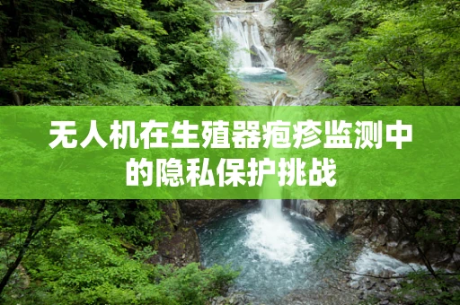 无人机在生殖器疱疹监测中的隐私保护挑战