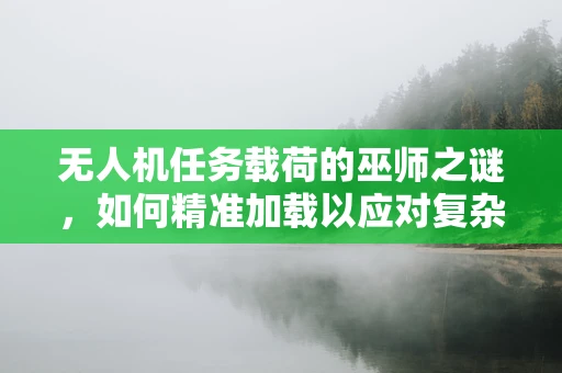 无人机任务载荷的巫师之谜，如何精准加载以应对复杂环境？