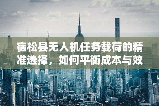 宿松县无人机任务载荷的精准选择，如何平衡成本与效率？