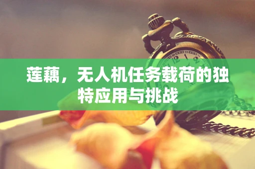 莲藕，无人机任务载荷的独特应用与挑战