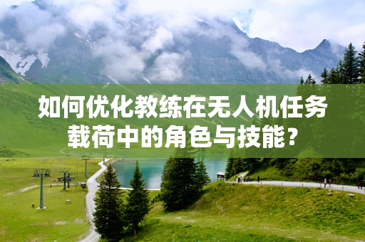 如何优化教练在无人机任务载荷中的角色与技能？